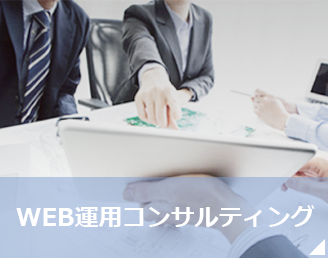 WEB運用コンサルティング